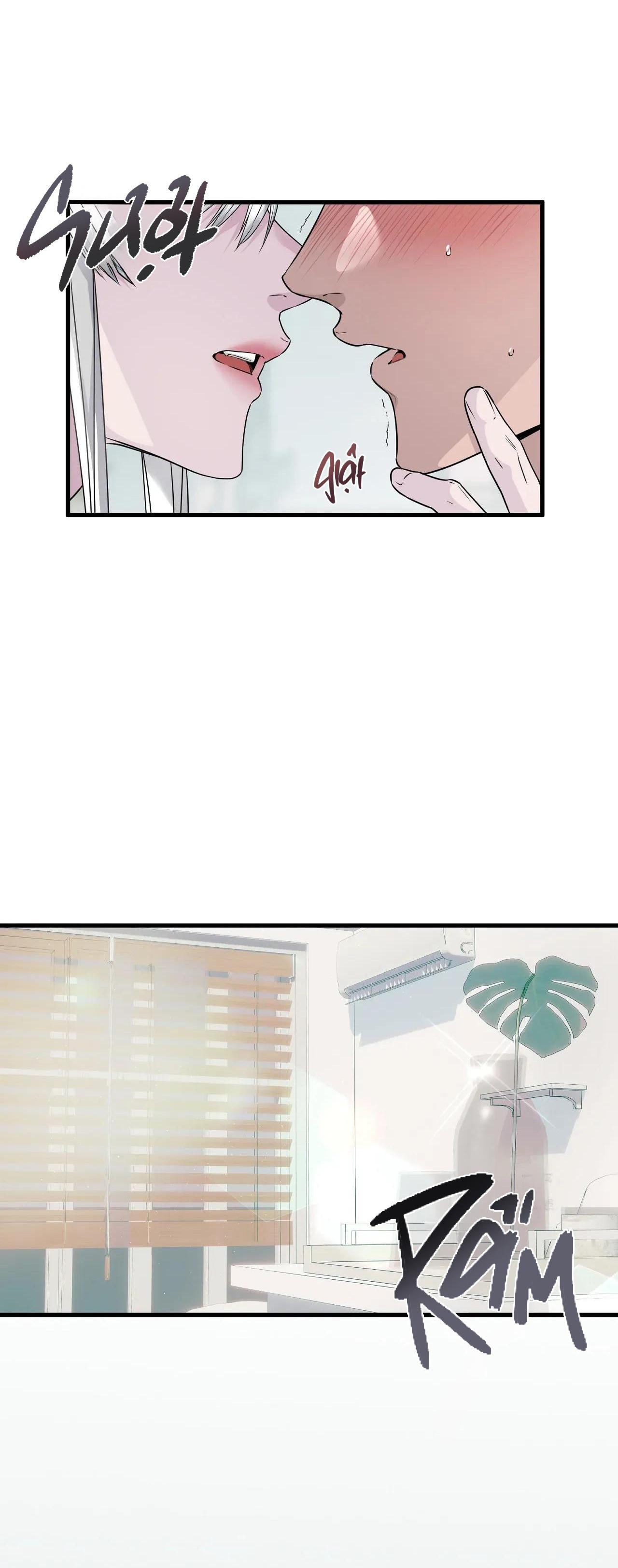 Đọc truyện Rắn Và Ân Nhân - Chapter 4