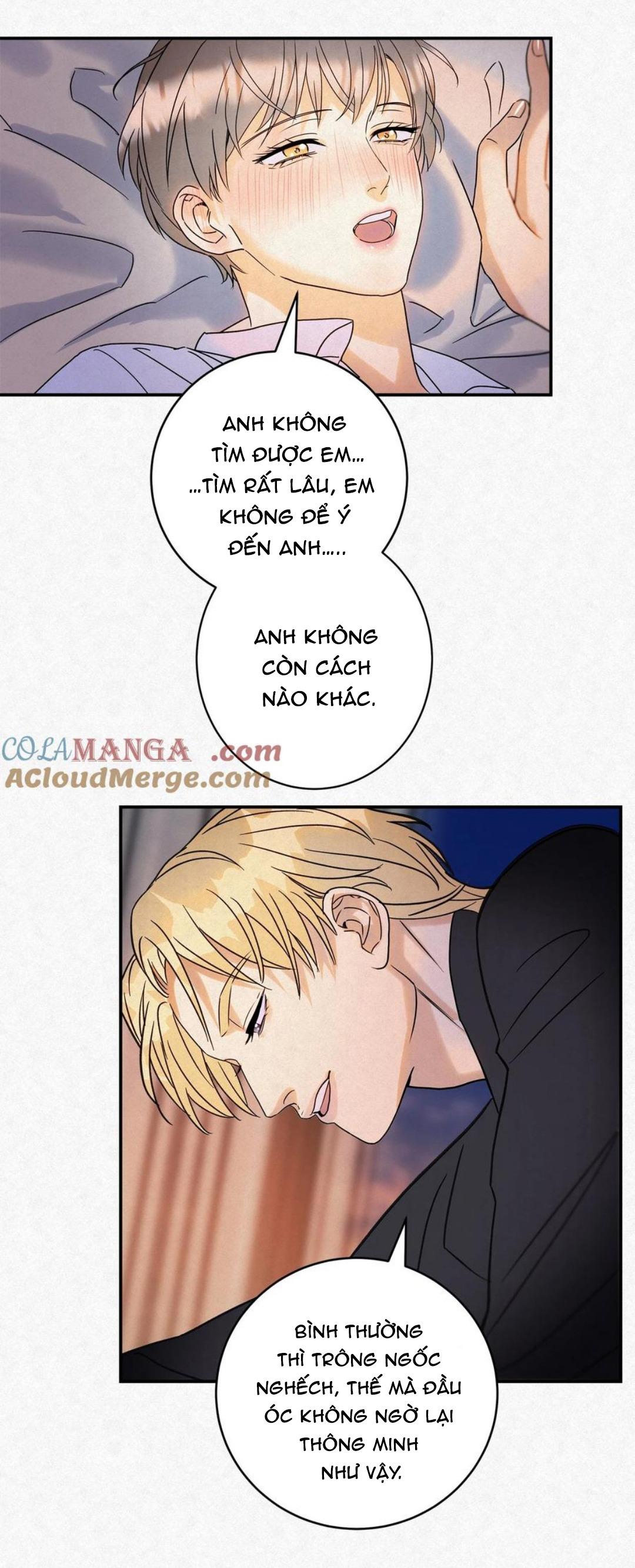 Đọc truyện Anh Trai Rẻ Tiền Của Tôi (END) - Chapter 14