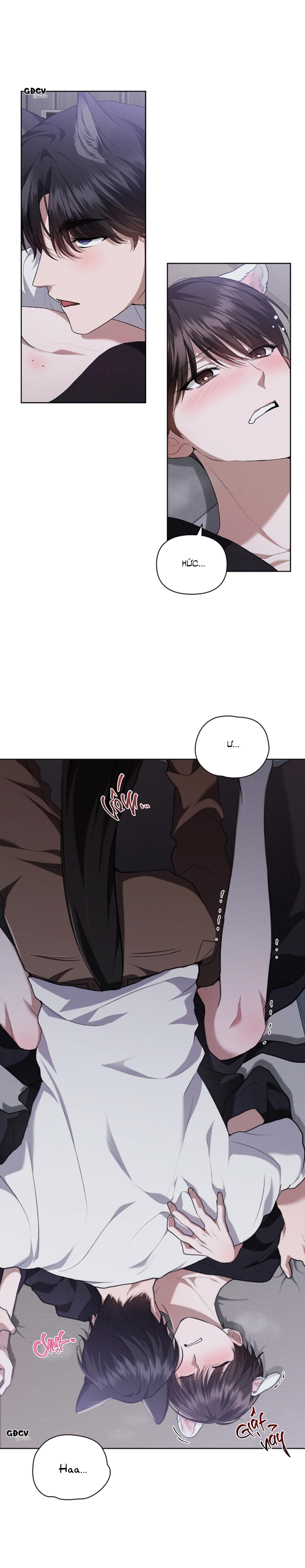 Đọc truyện ĐỪNG CHẠM VÀO CÚN CON CỦA TÔI - Chapter 23