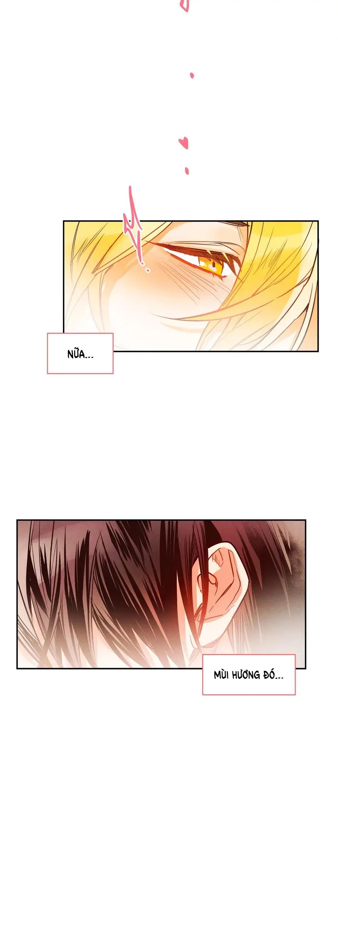 Đọc truyện Chìm Trong Pheromone - Chapter 7
