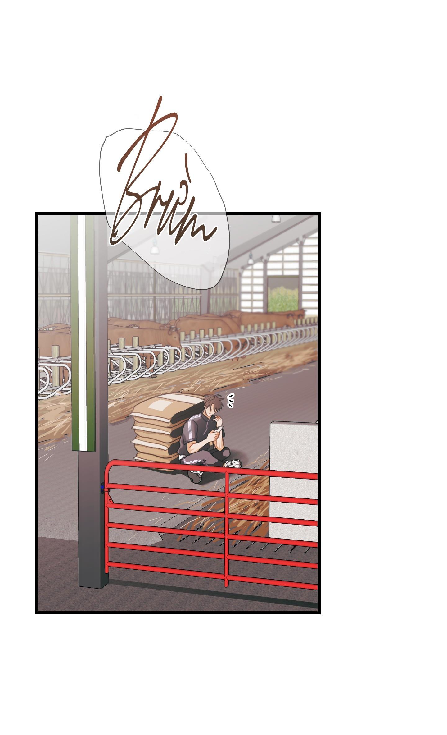 Đọc truyện CHUYỆN TÌNH HOA LÊ NỞ - Chapter 40