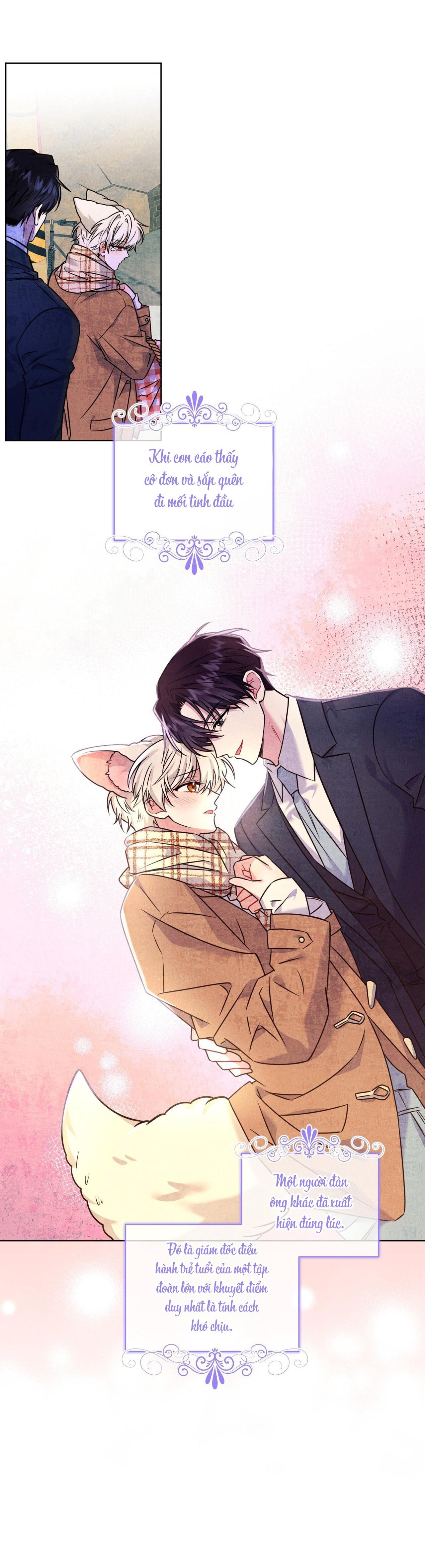 Đọc truyện |DROP| Tiệm đồ uống của cáo Flynn - Chapter 12