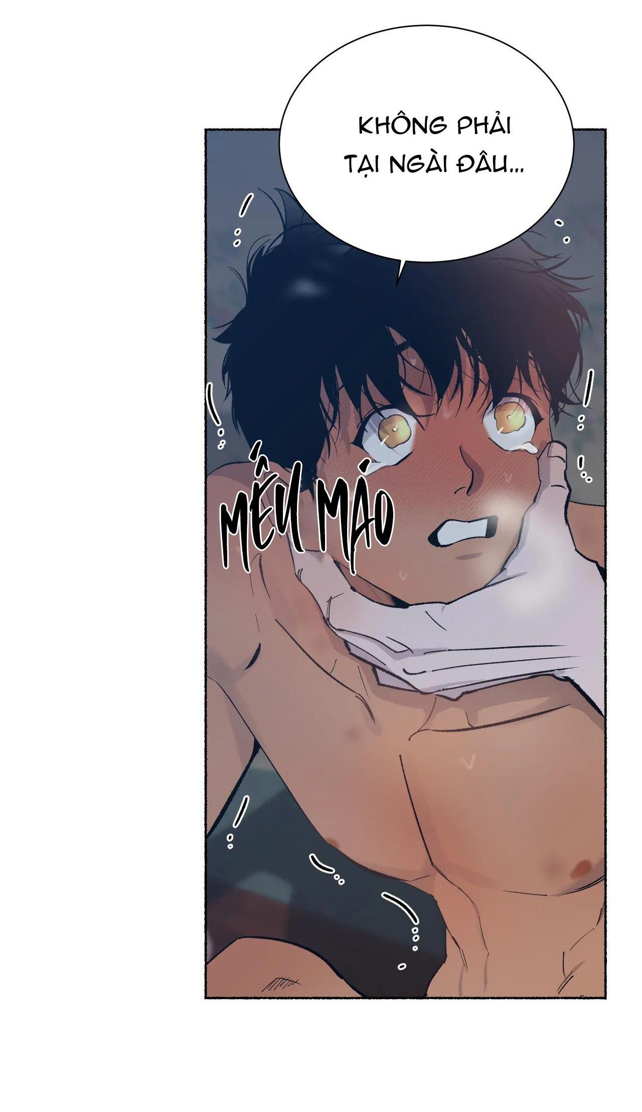 Đọc truyện HỔ NGÀN NĂM - Chapter 43