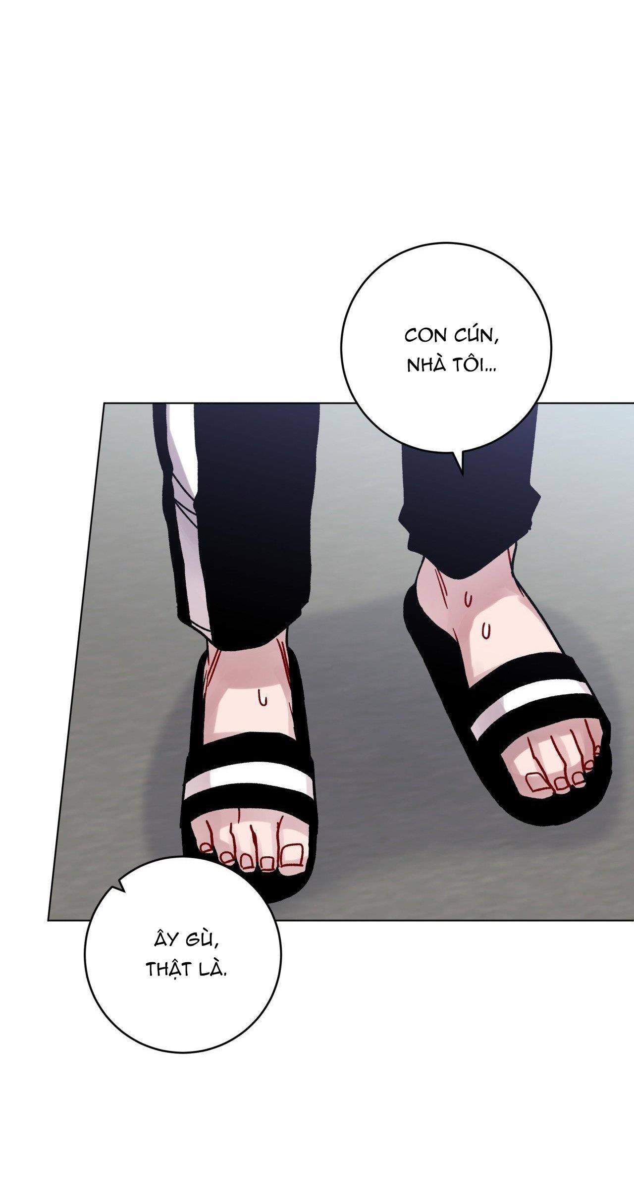 Đọc truyện CƠN MƯA RÀO MÙA HẠ - Chapter 51