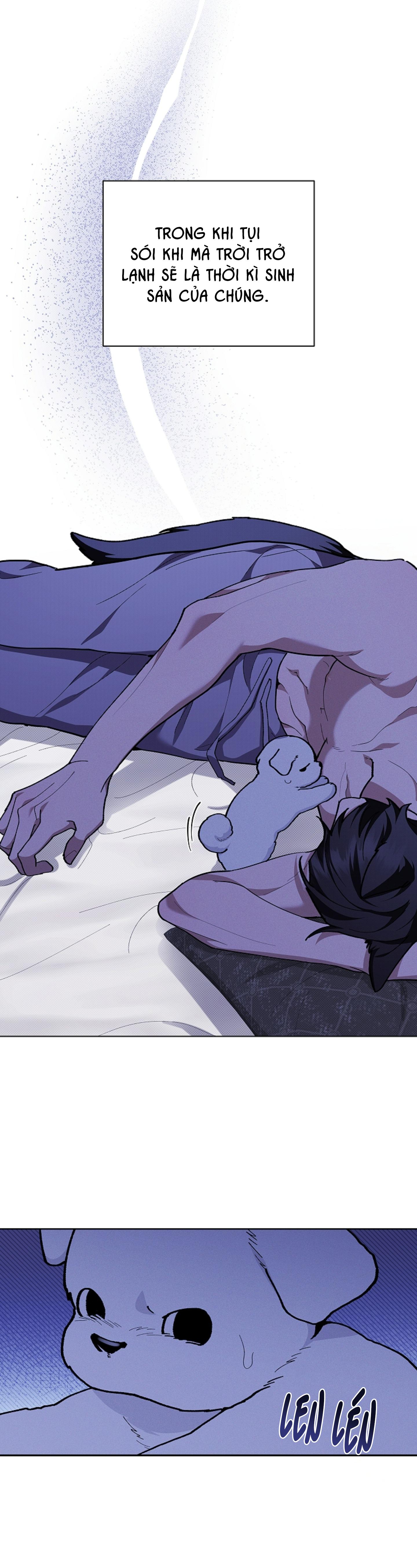 Đọc truyện ĐỪNG ĐỤNG VÀO BÉ CÚN - Chapter 7