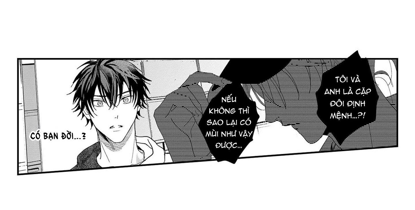 Đọc truyện Nữ hoàng Omega hoa lệ - Chapter 6