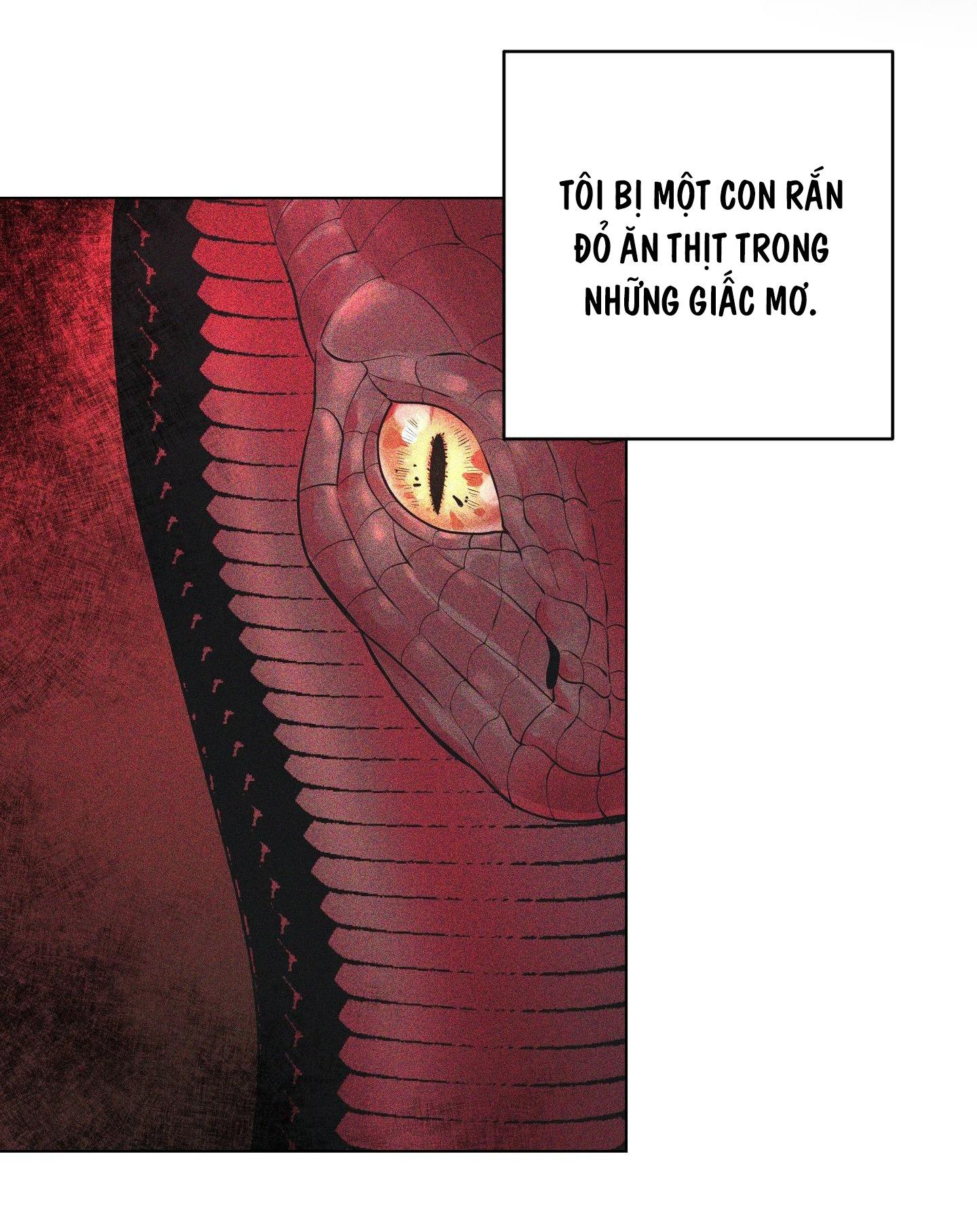 Đọc truyện RƠI VÀO VỰC THẲM CỦA RẮN - Chapter 1