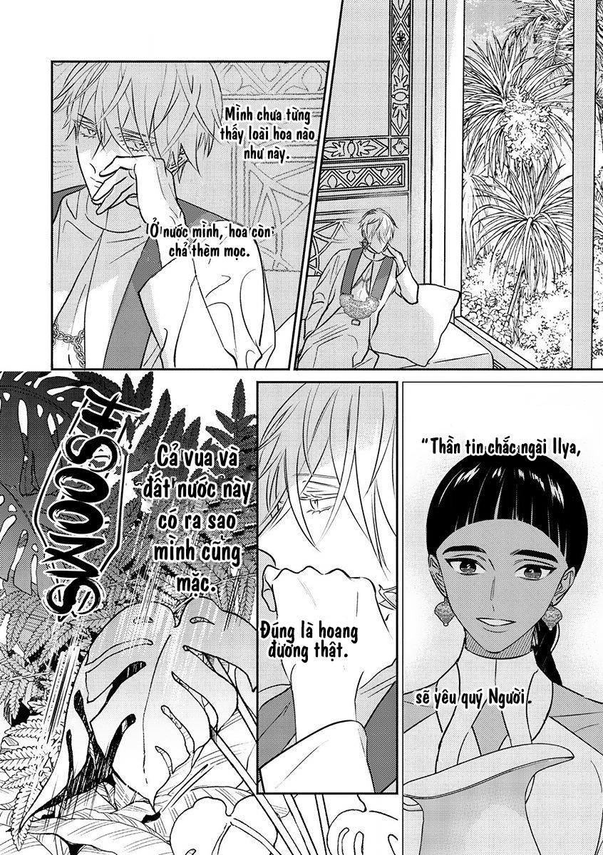 Đọc truyện Omega Của Hoàng Cung - Chapter 1