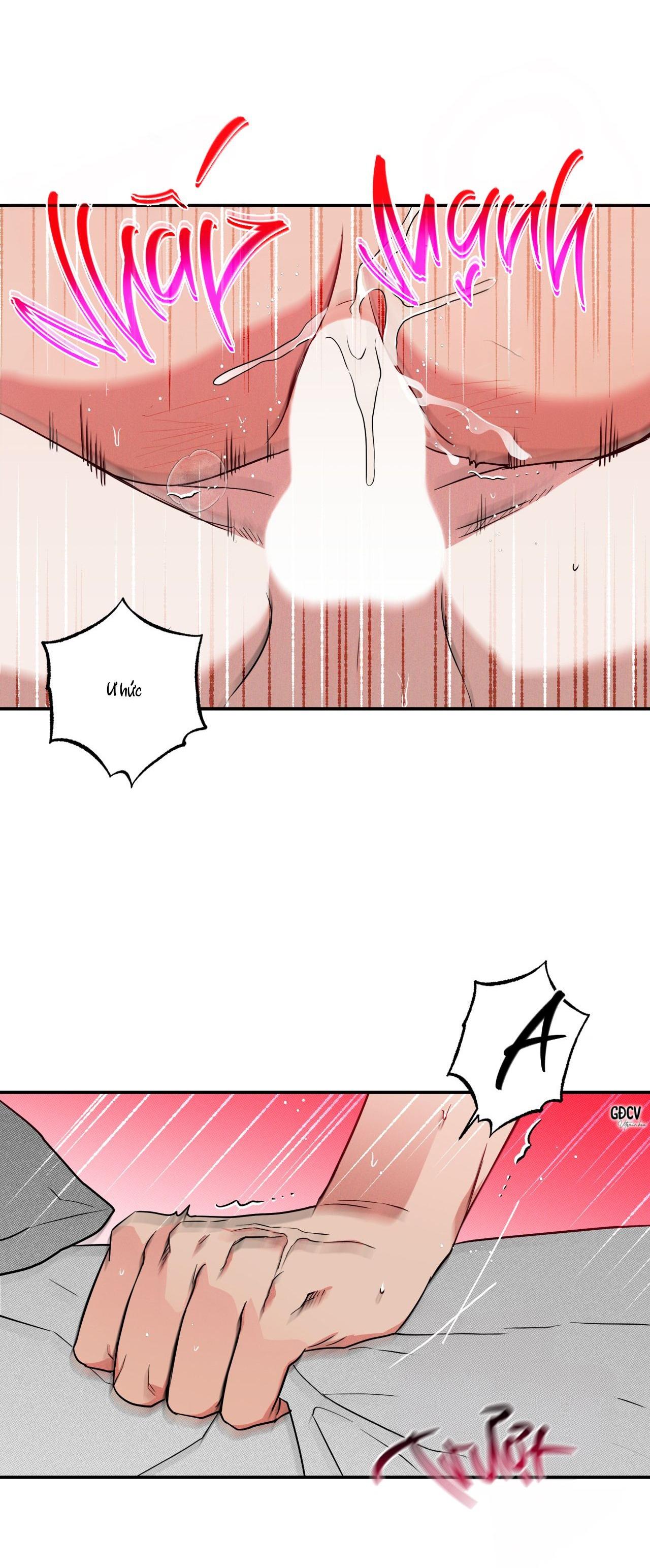 Đọc truyện ANH RỂ - Chapter 3