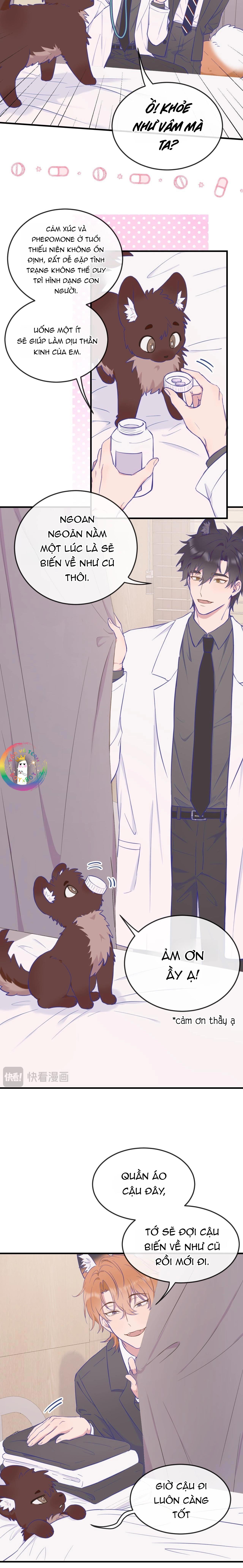 Đọc truyện Cún Con Nói Dối Sẽ Bị Ăn Thịt - Chapter 6