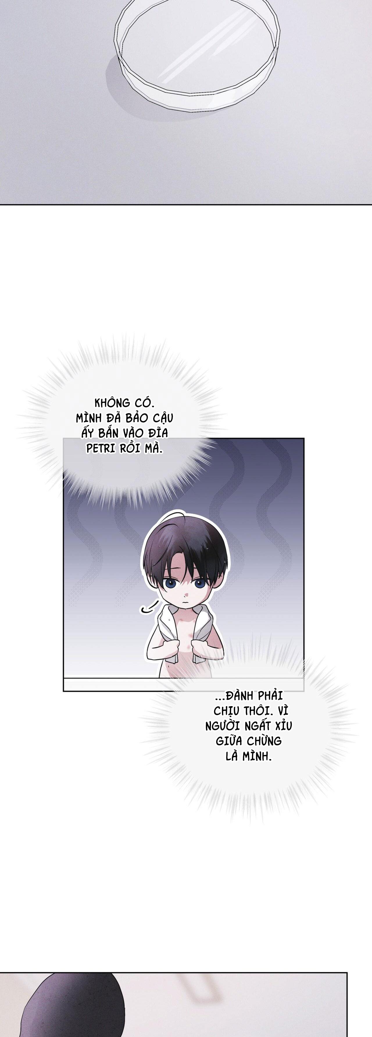 Đọc truyện THÀNH PHỐ CẦU VỒNG - Chapter 48