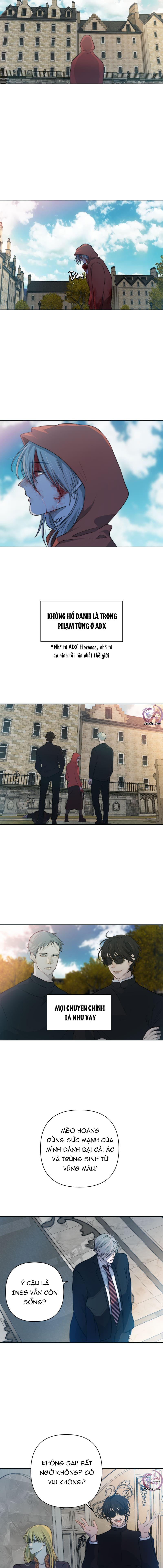 Đọc truyện Bao Nuôi Tiền Bối - Chapter 49