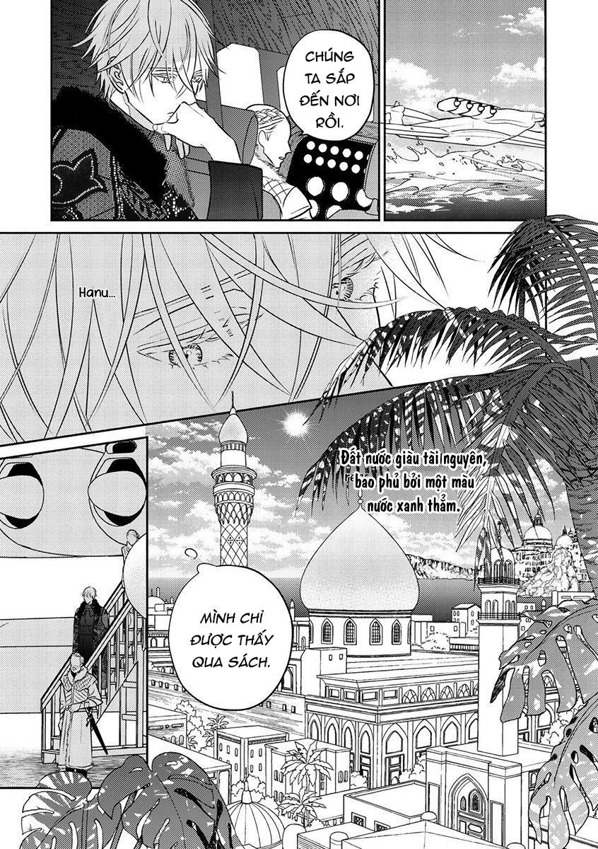 Đọc truyện Omega Của Hoàng Cung - Chapter 1