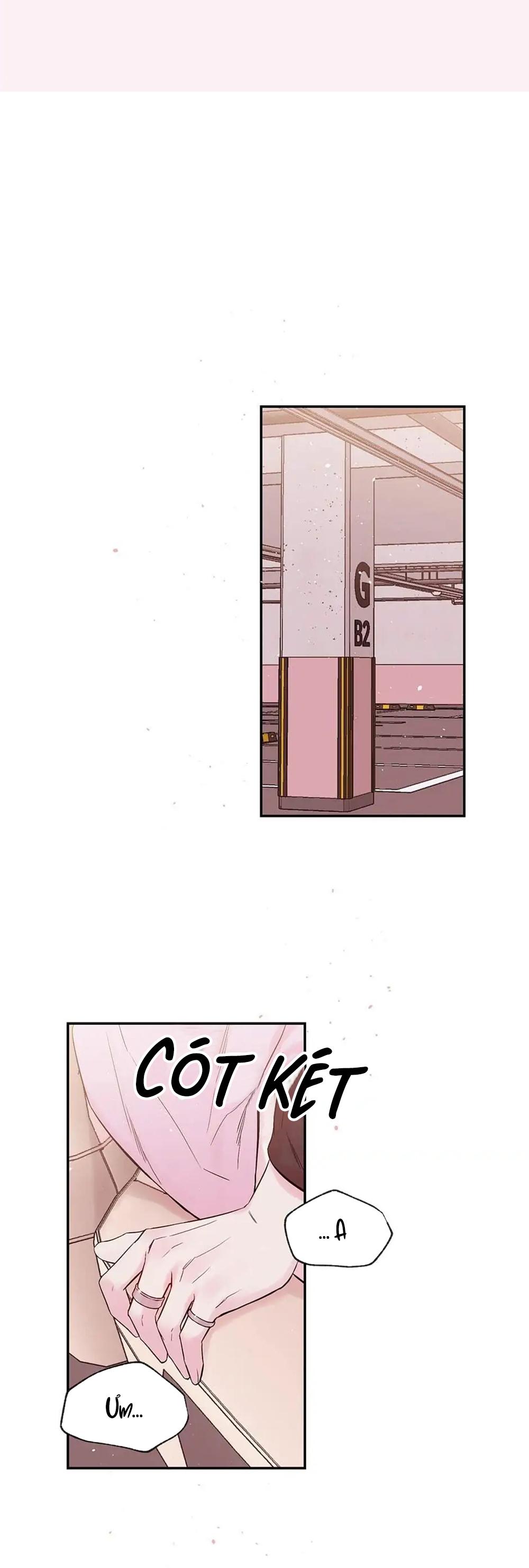 Đọc truyện (END) Bí Mật Của Tôi - Chapter 64.2