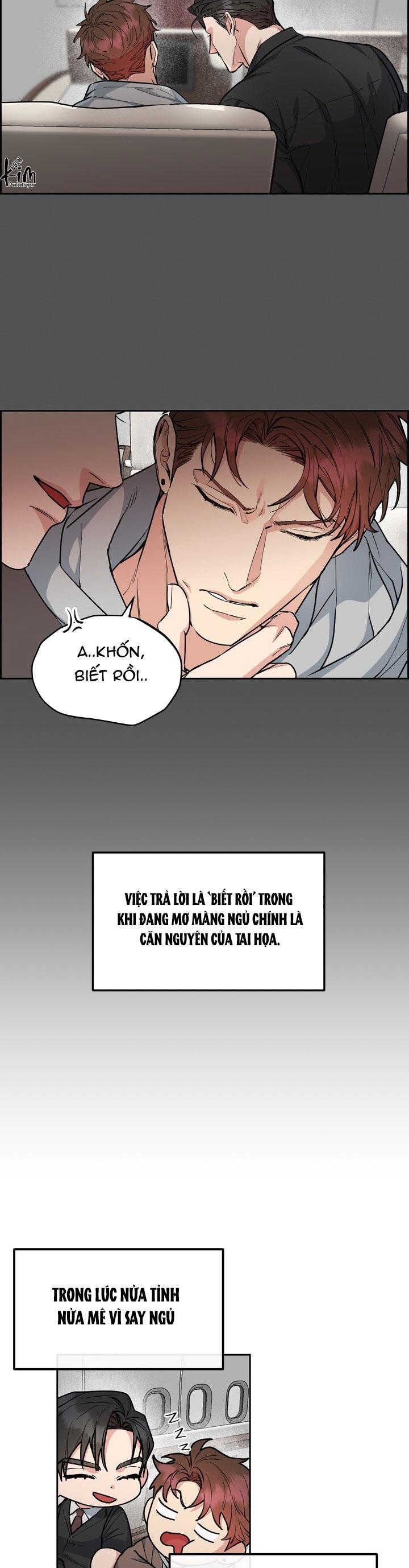 Đọc truyện CHÓ VÀ CHIM - Chapter 40