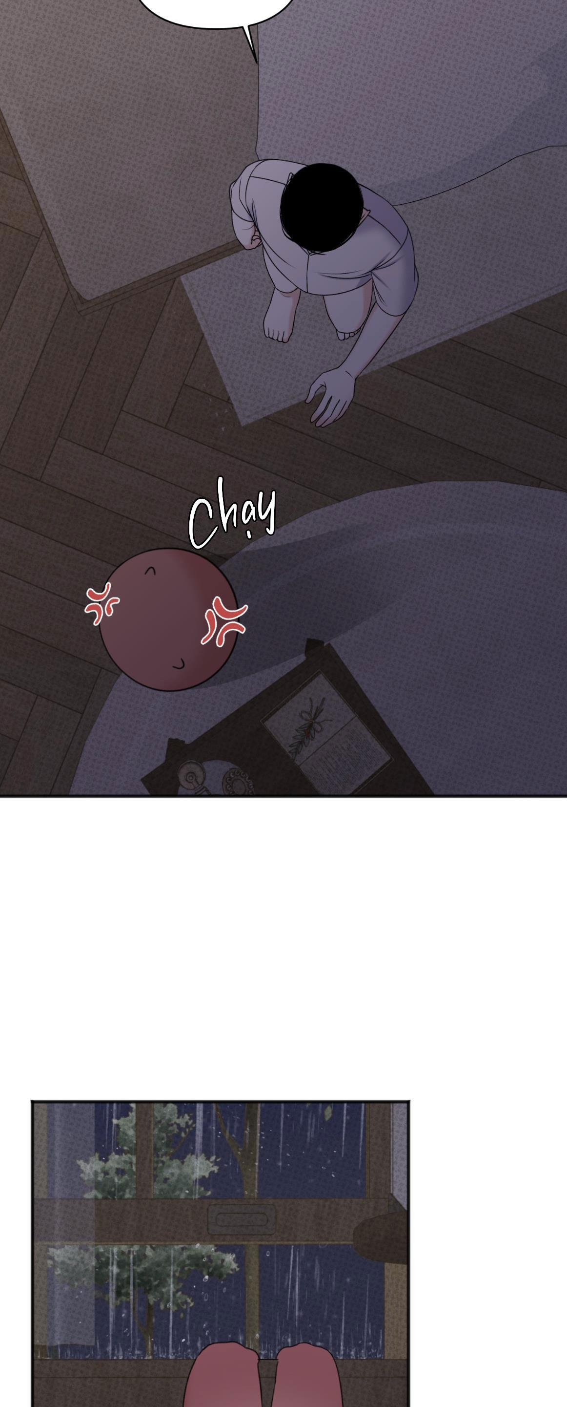 Đọc truyện DỰ BÁO MƯA RÀO - Chapter 5