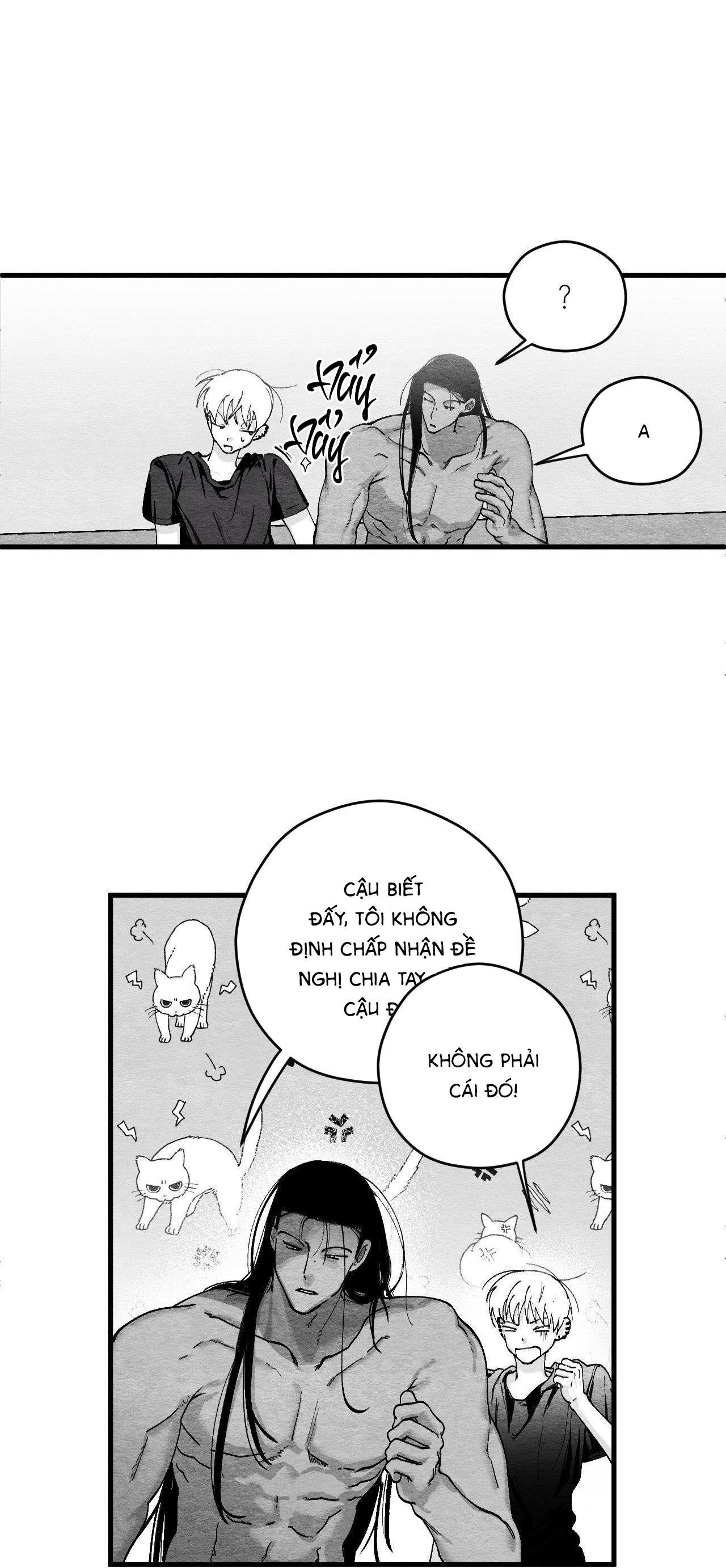 Đọc truyện Vóc Dáng Toàn Mỹ - Chapter 13