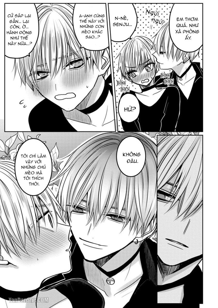 Đọc truyện Hãy đến và chiếm lấy những đêm không ngủ của tôi - Chapter 1