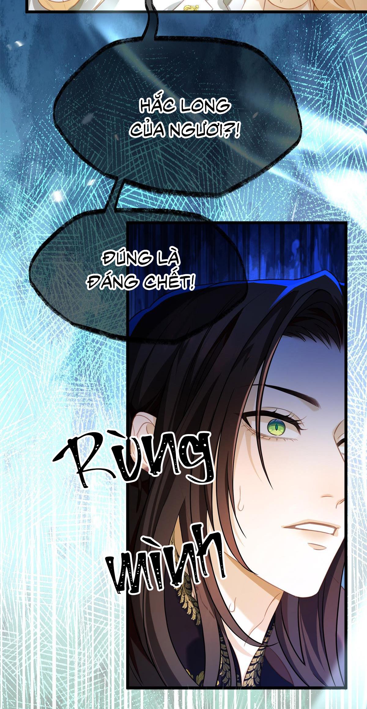 Đọc truyện Tôi trùng sinh thành chú rồng đen của vương tử điện hạ - Chapter 13
