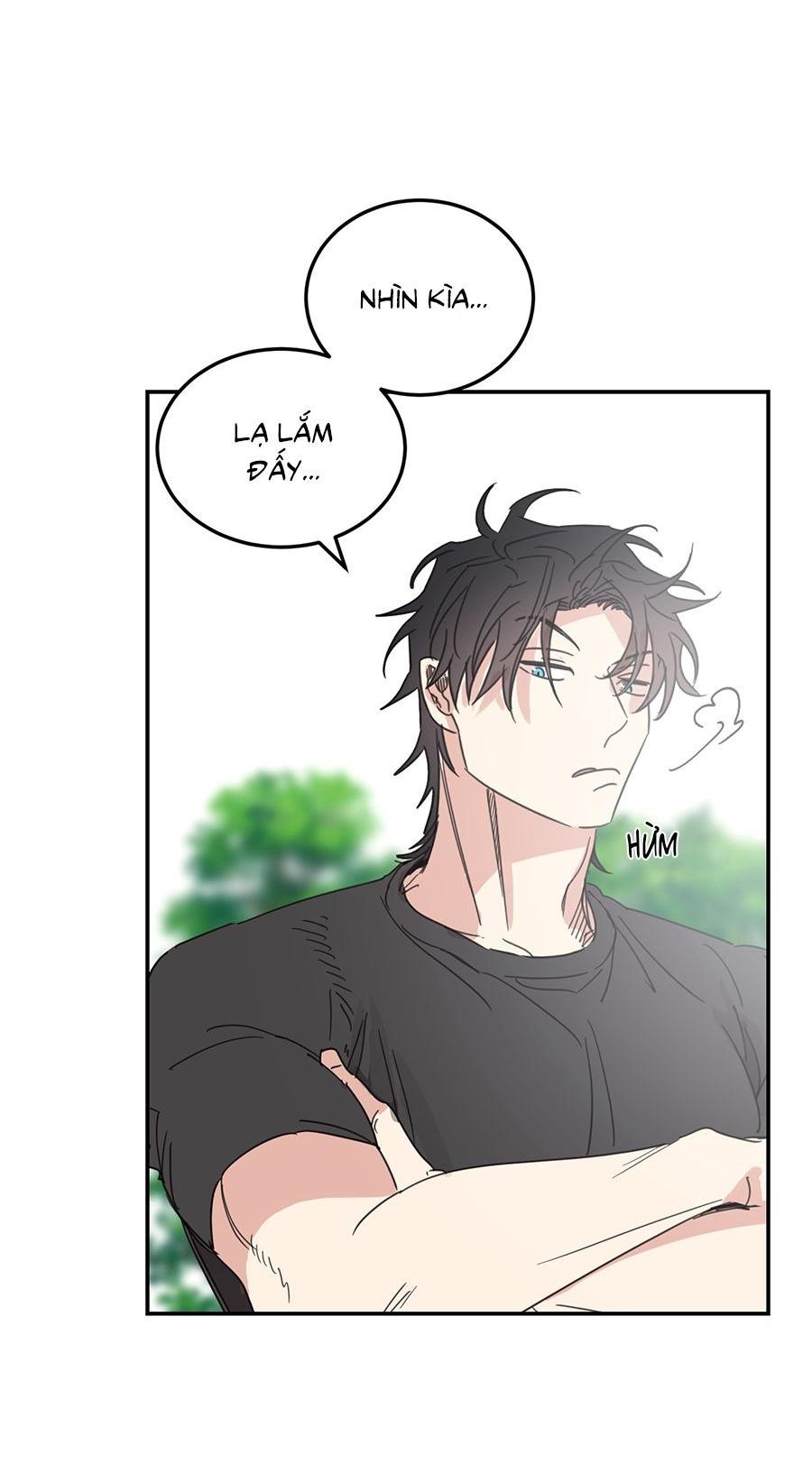Đọc truyện NGÔI NHÀ HƯỚNG MẶT TRỜI MỌC - Chapter 48
