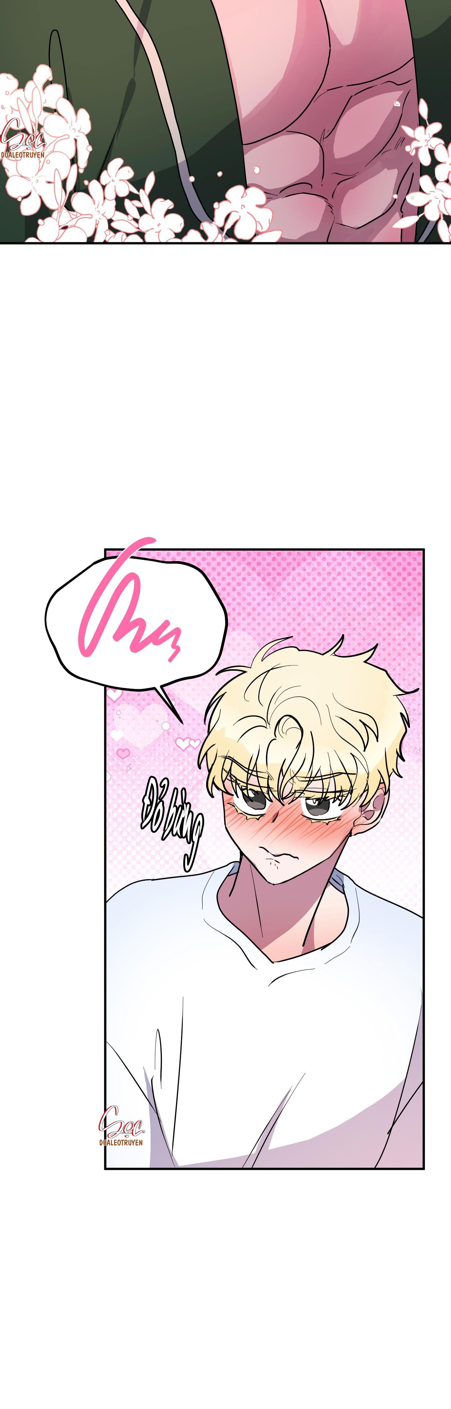 Đọc truyện CÁ MẬP VÀ CÔ DÂU THỎ - Chapter 41