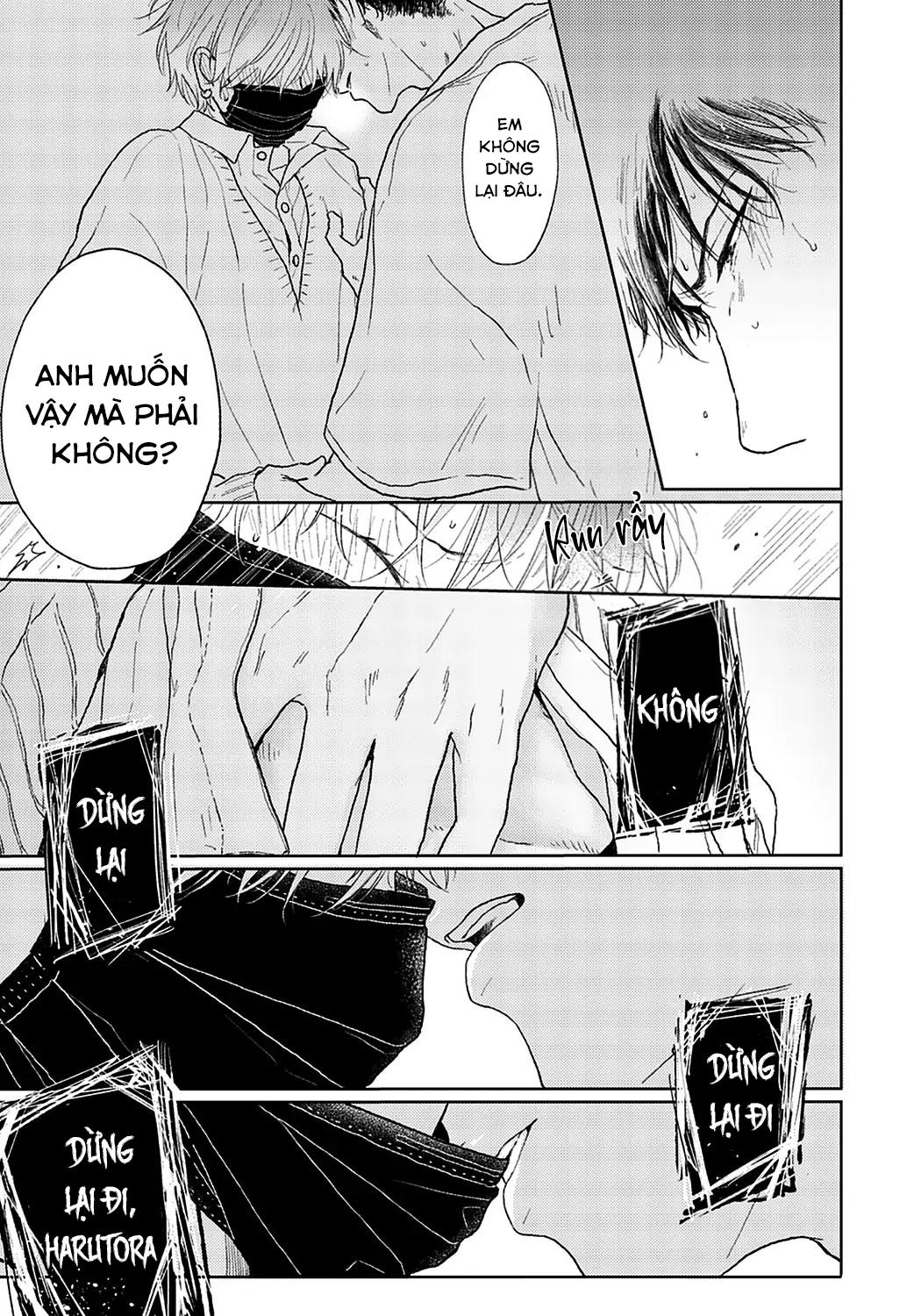 Đọc truyện Đợi Chút Đã, Harutora-kun (END) - Chapter 2