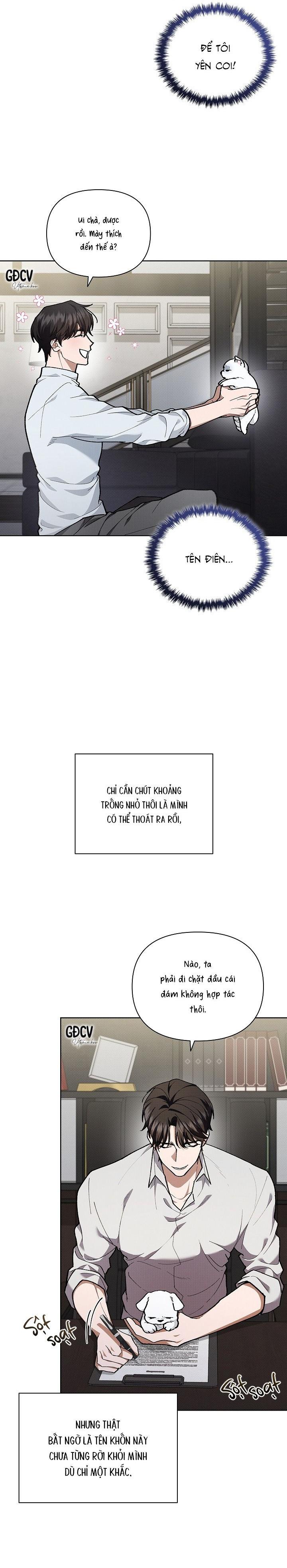 Đọc truyện ĐỪNG CHẠM VÀO CÚN CON CỦA TÔI - Chapter 5