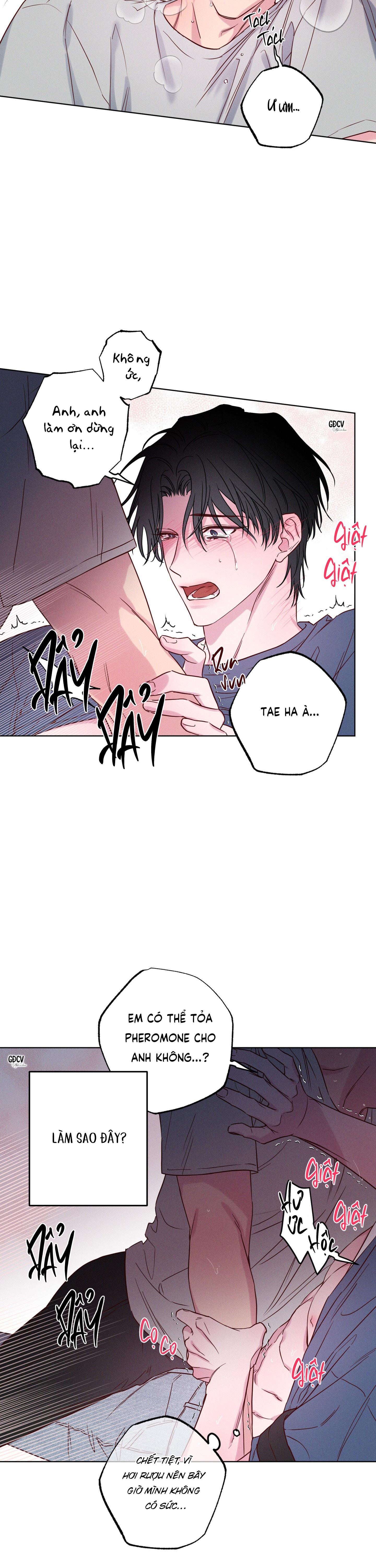 Đọc truyện BỜ SÓNG VỖ - Chapter 5