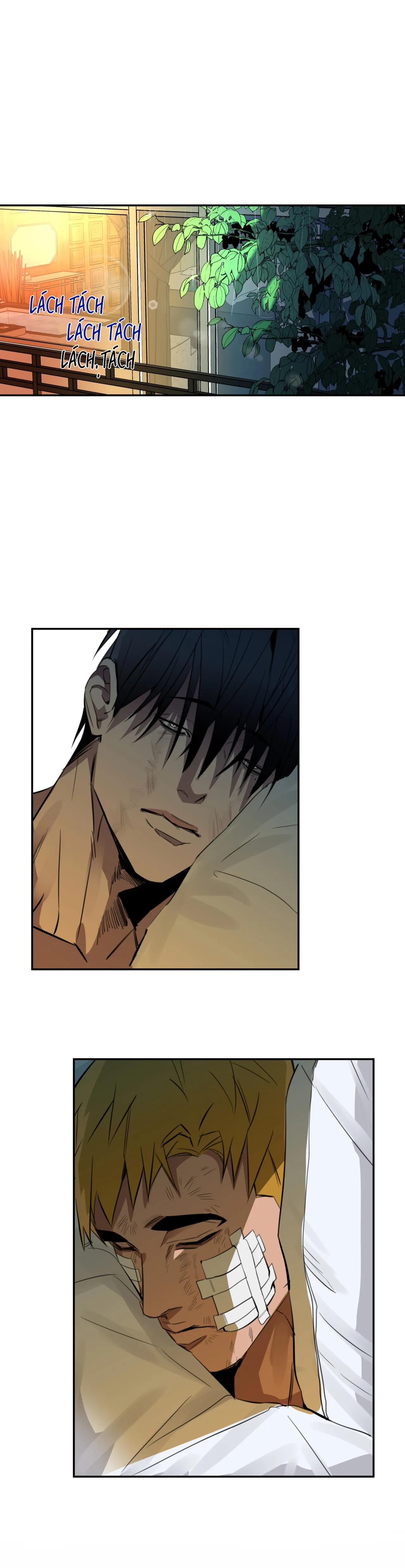 Đọc truyện [Hoàn] Country boy: Seriously, I adore you - Chapter 3