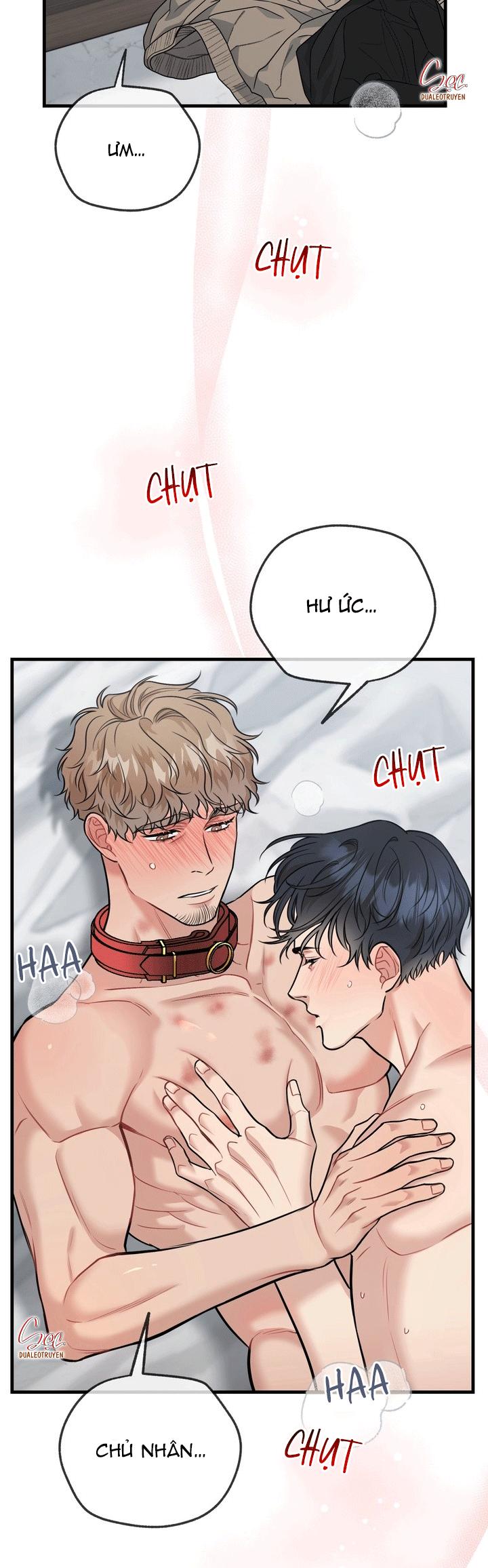 Đọc truyện HƯỚNG DẪN BDSM CƠ BẢN - Chapter 21