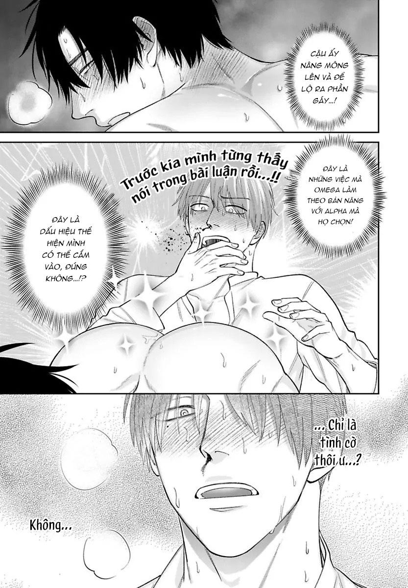 Đọc truyện Alpha Điên Si Mê Vật Thí Nghiệm - Chapter 5