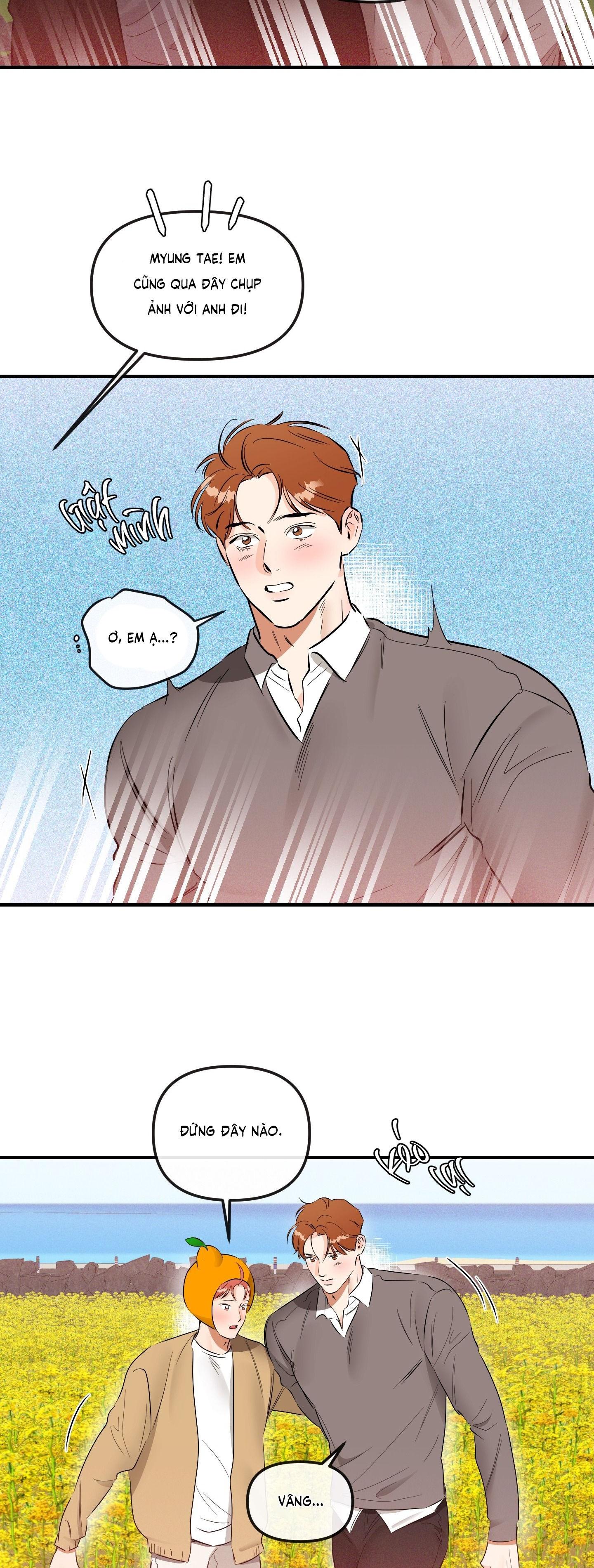 Đọc truyện CÁ MINH THÁI KHÔ QUẮT RỒI! - Chapter 43