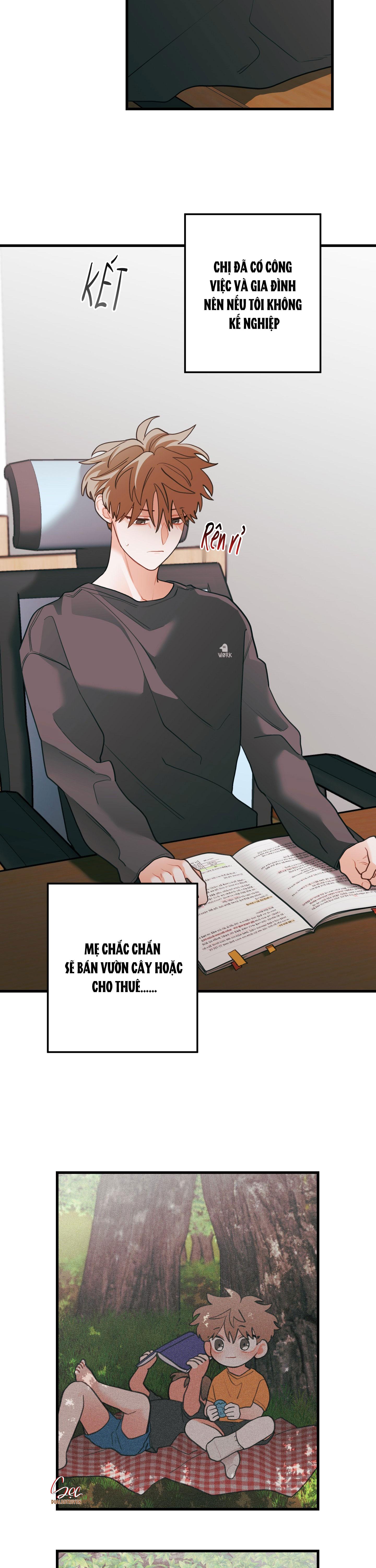 Đọc truyện CHUYỆN TÌNH HOA LÊ NỞ - Chapter 74