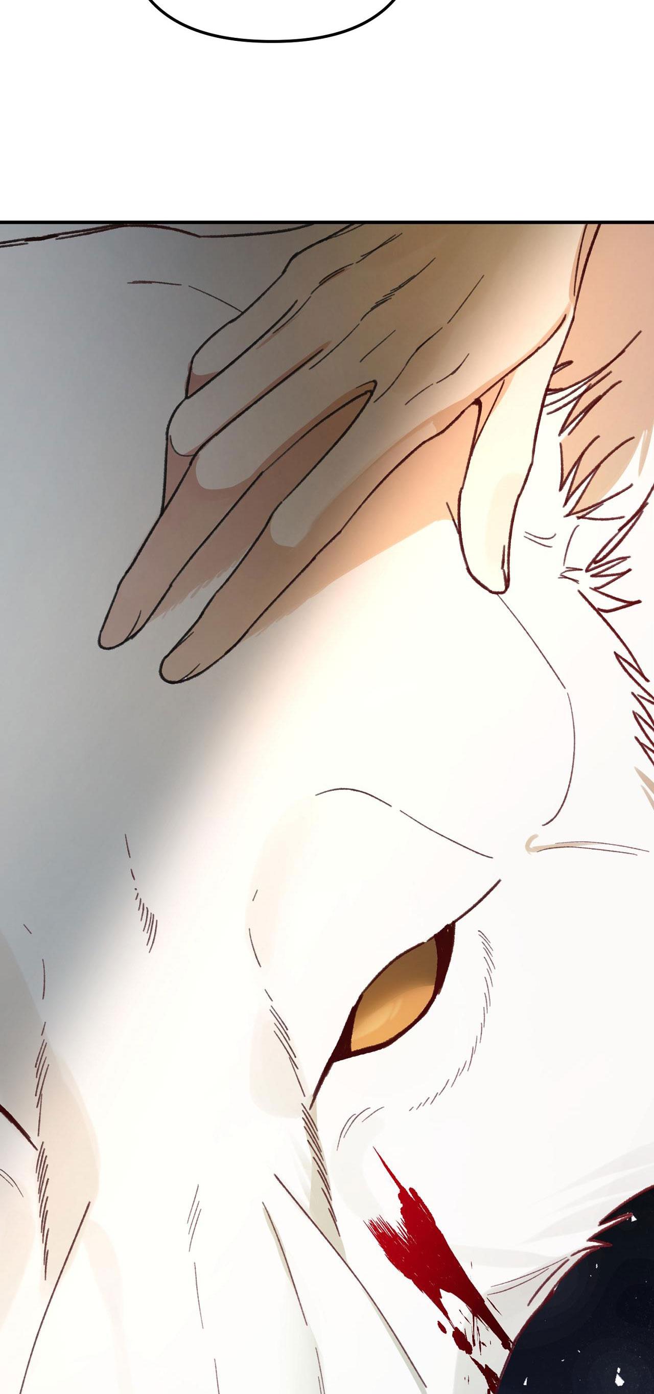 Đọc truyện SÓI TRONG LỒNG - Chapter 17