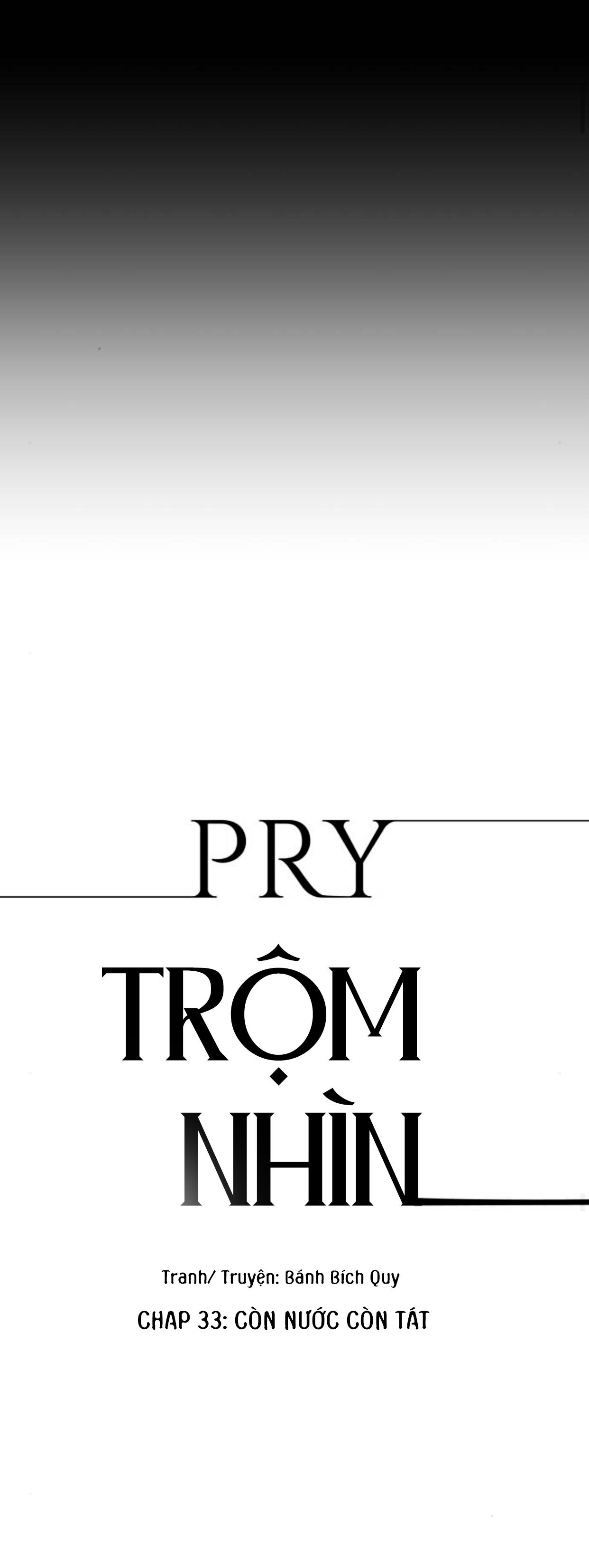 Đọc truyện PRY (Trộm Nhìn) -END - Chapter 33