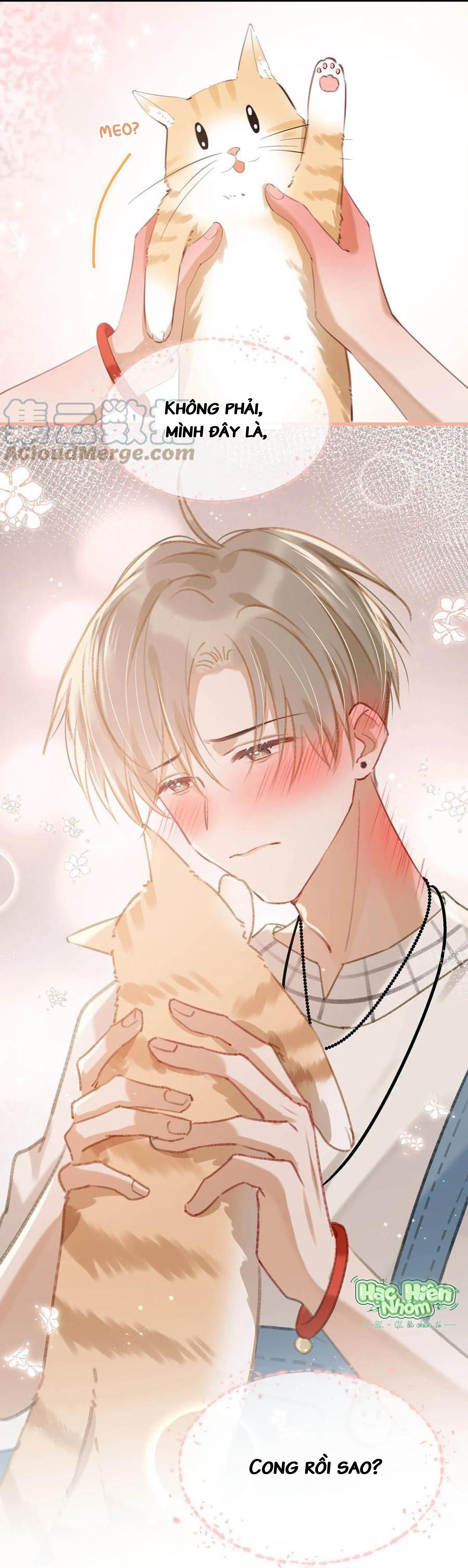 Đọc truyện Tôi và đối tác của tôi [DROP] - Chapter 52