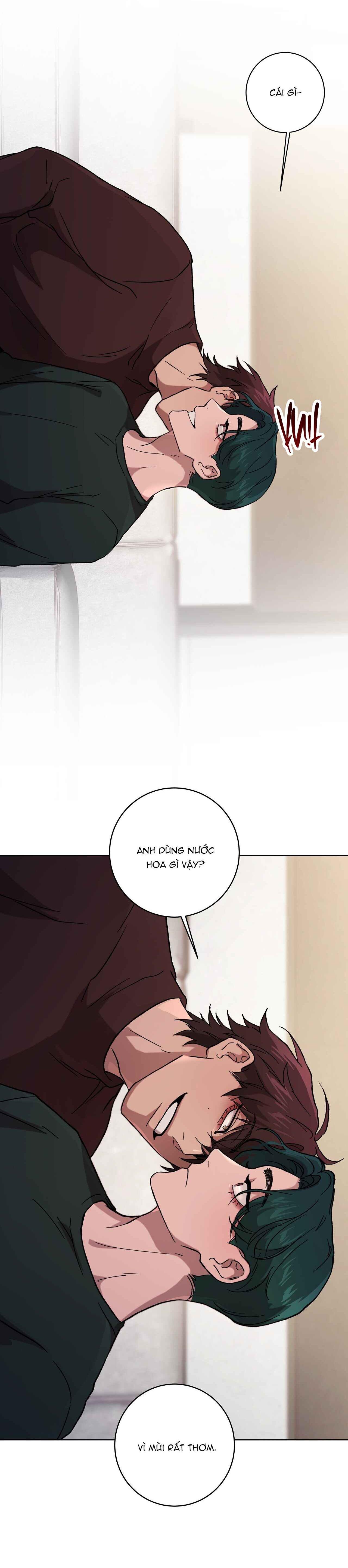 Đọc truyện RELEASE YOUR PERSONA - Chapter 2