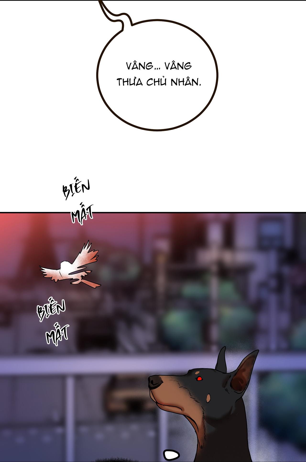 Đọc truyện Khi Ác Quỷ Động Lòng - Chapter 9