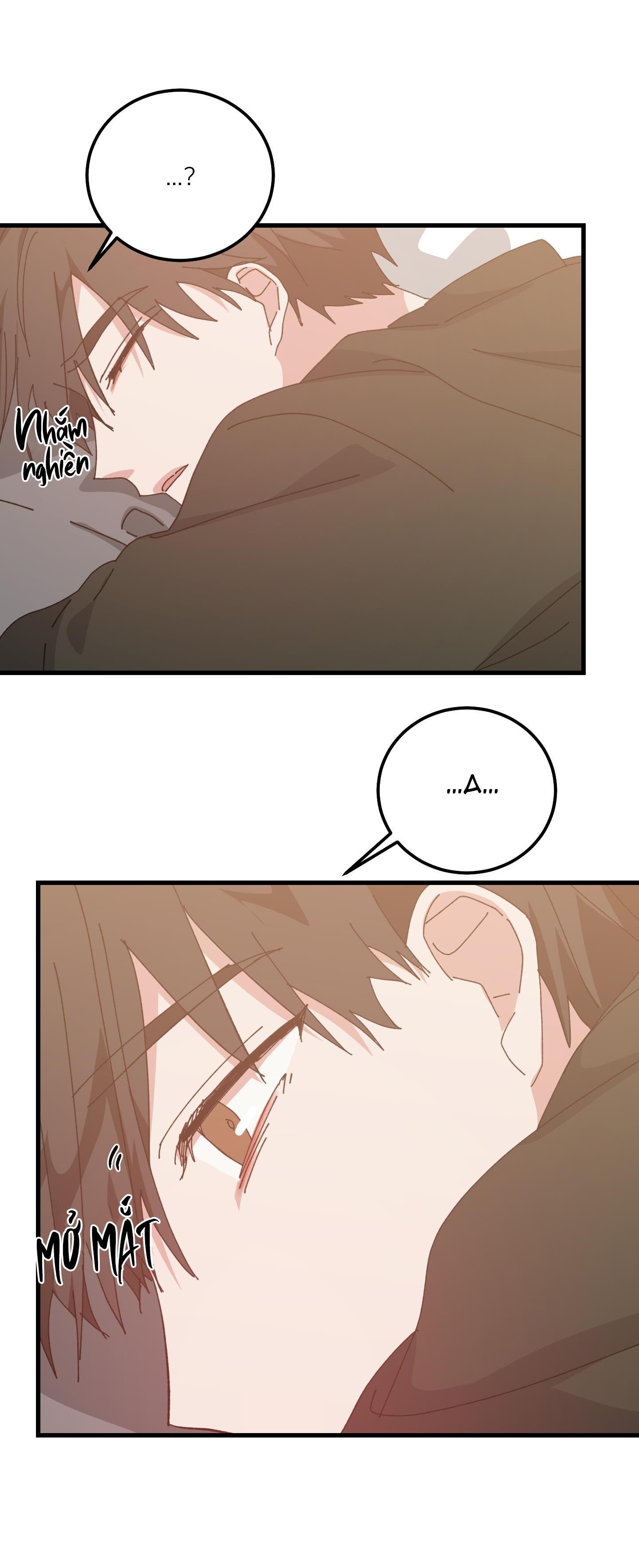 Đọc truyện YÊU TÔI ĐI, THẦN HỘ MỆNH - Chapter 50