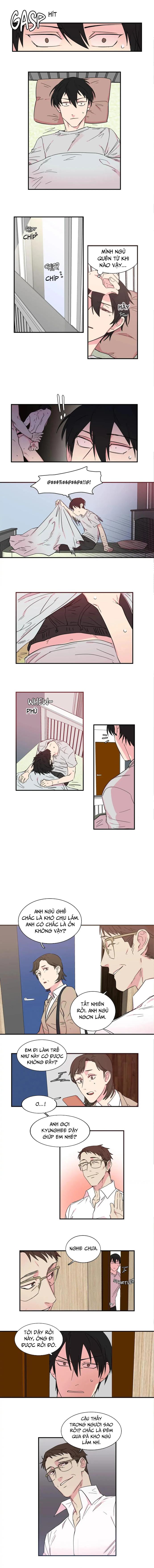 Đọc truyện Bố đường - Chapter 11