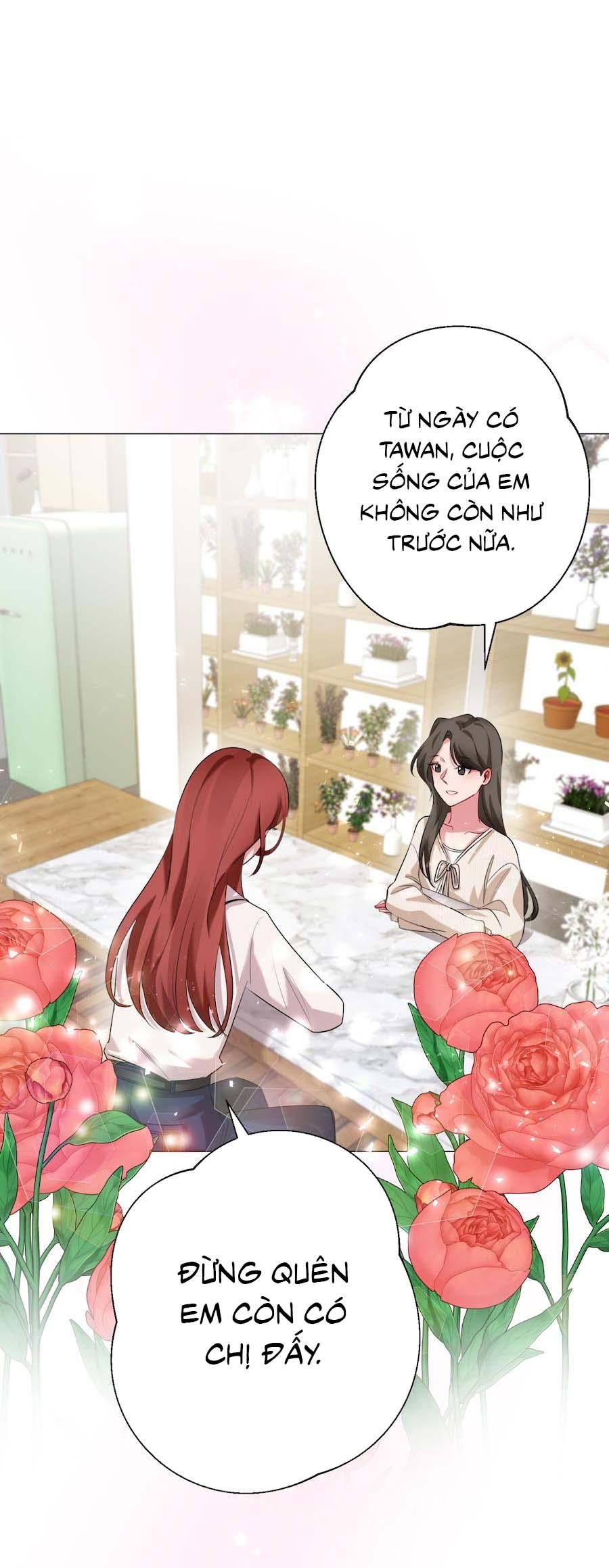 Đọc truyện Flower of youth - Chapter 16