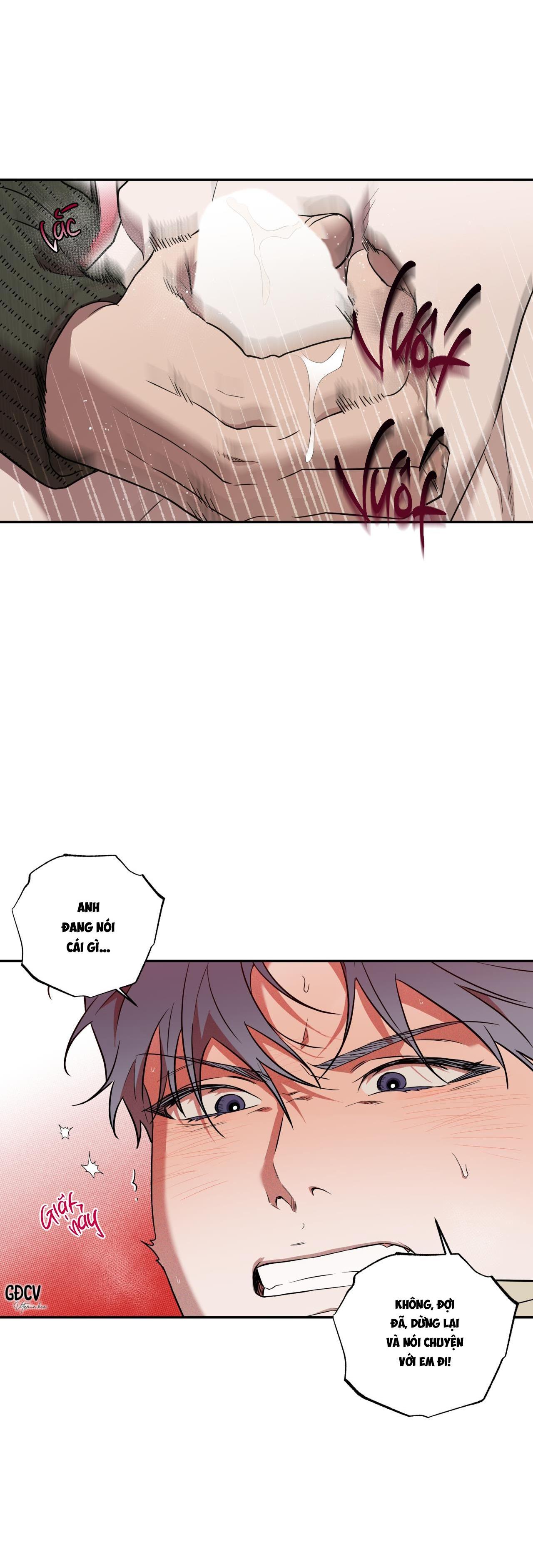 Đọc truyện ANH RỂ - Chapter 5