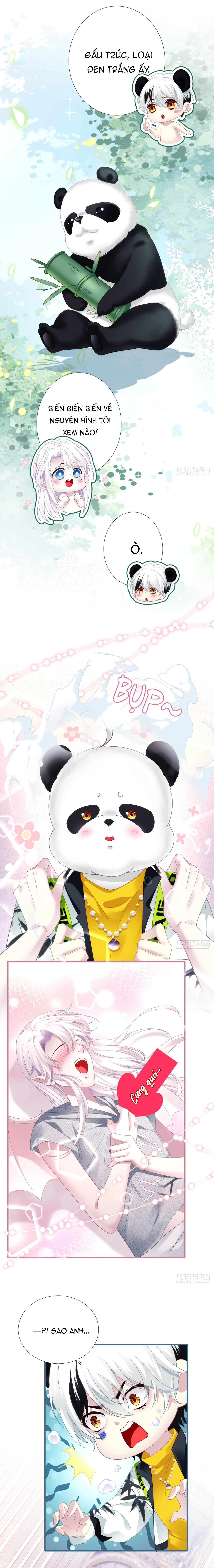 Đọc truyện Thánh Tâm không dễ chọc - Chapter 31