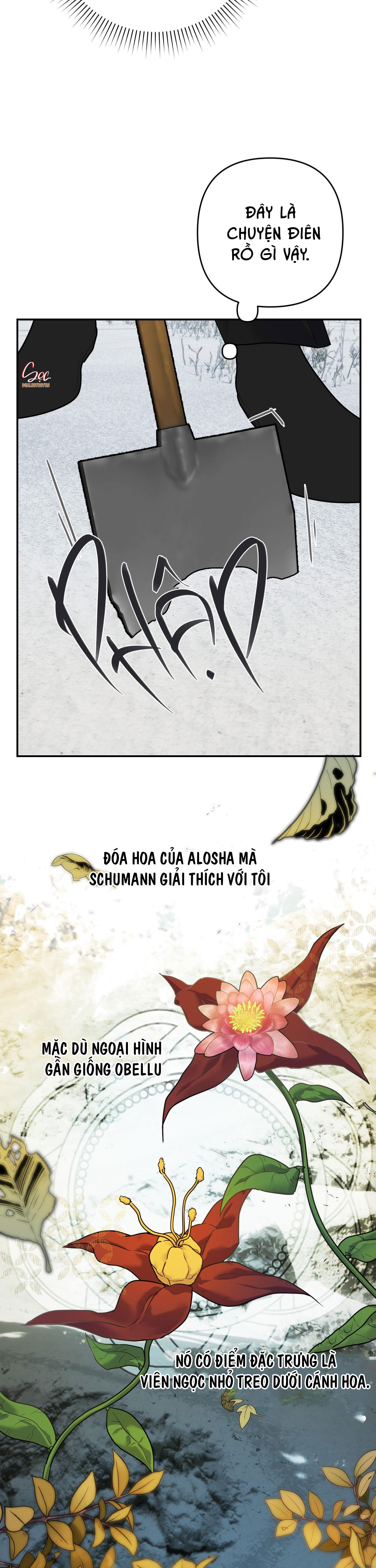 Đọc truyện ĐÓA HOA CỦA ALOSHA - Chapter 21