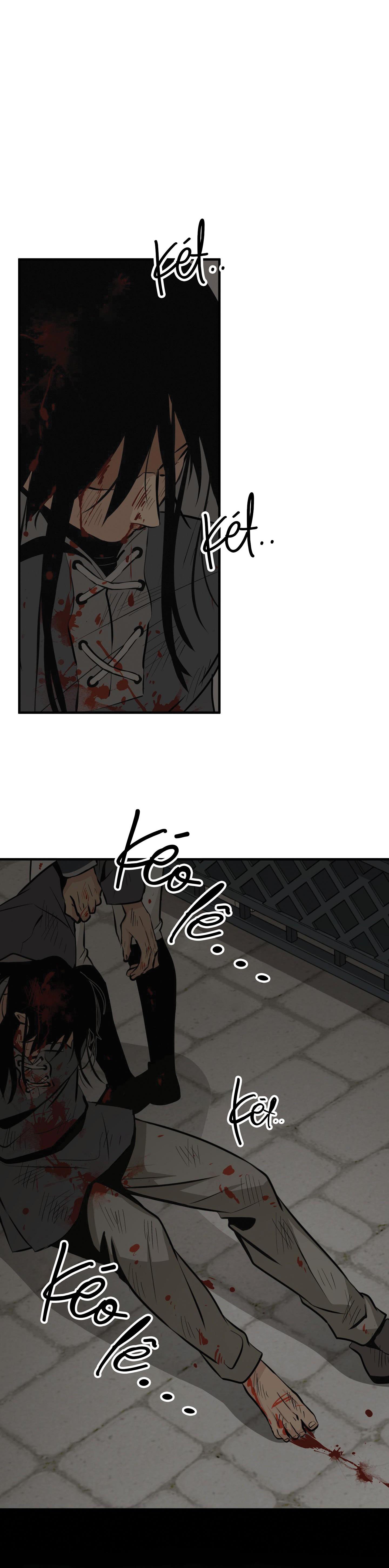 Đọc truyện  Hoa Vô Danh - Chapter 13