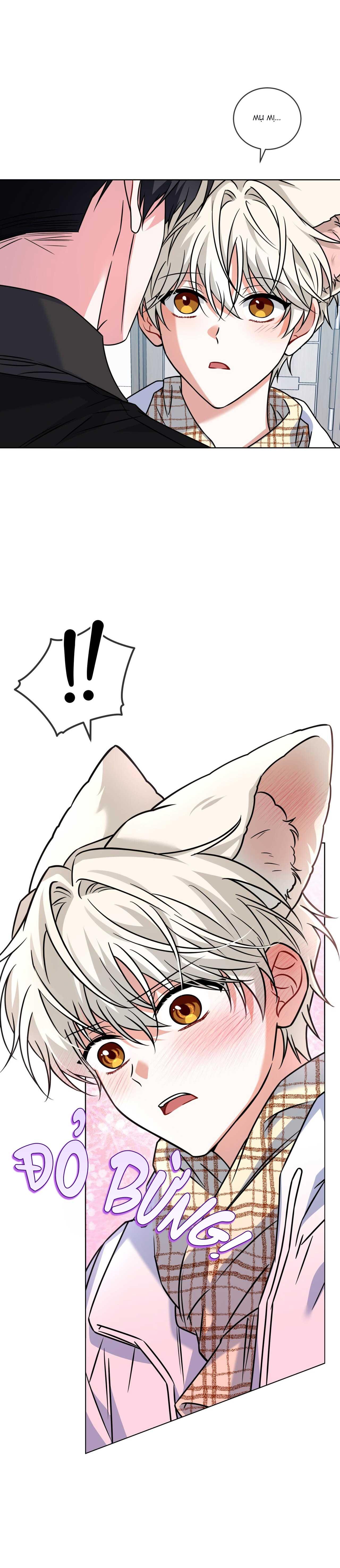 Đọc truyện NƯỚC UỐNG TÌNH YÊU CỦA CÁO PLIN - Chapter 27