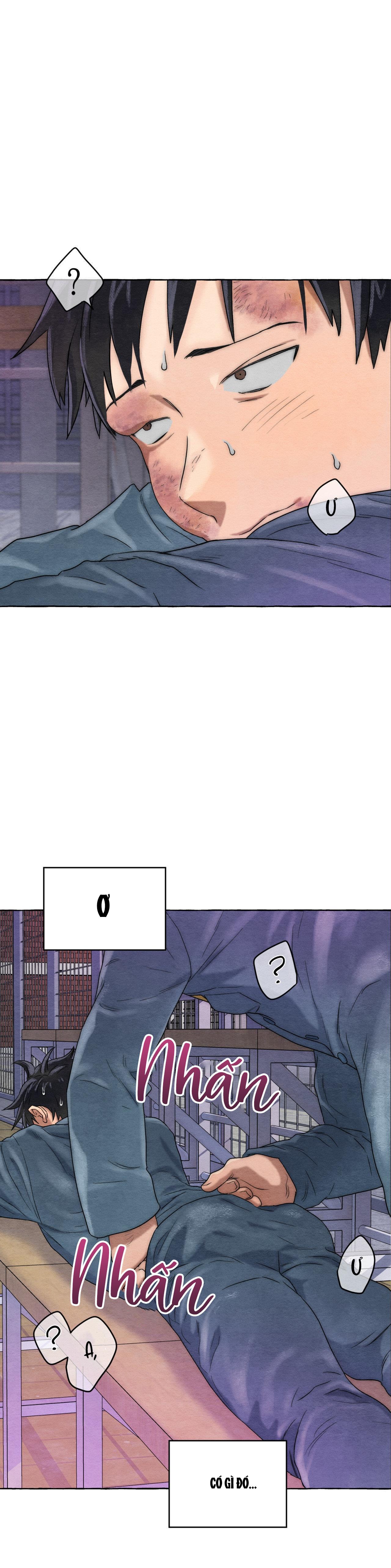 Đọc truyện NHỮNG CON CHÓ TRONG TÙ - Chapter 5