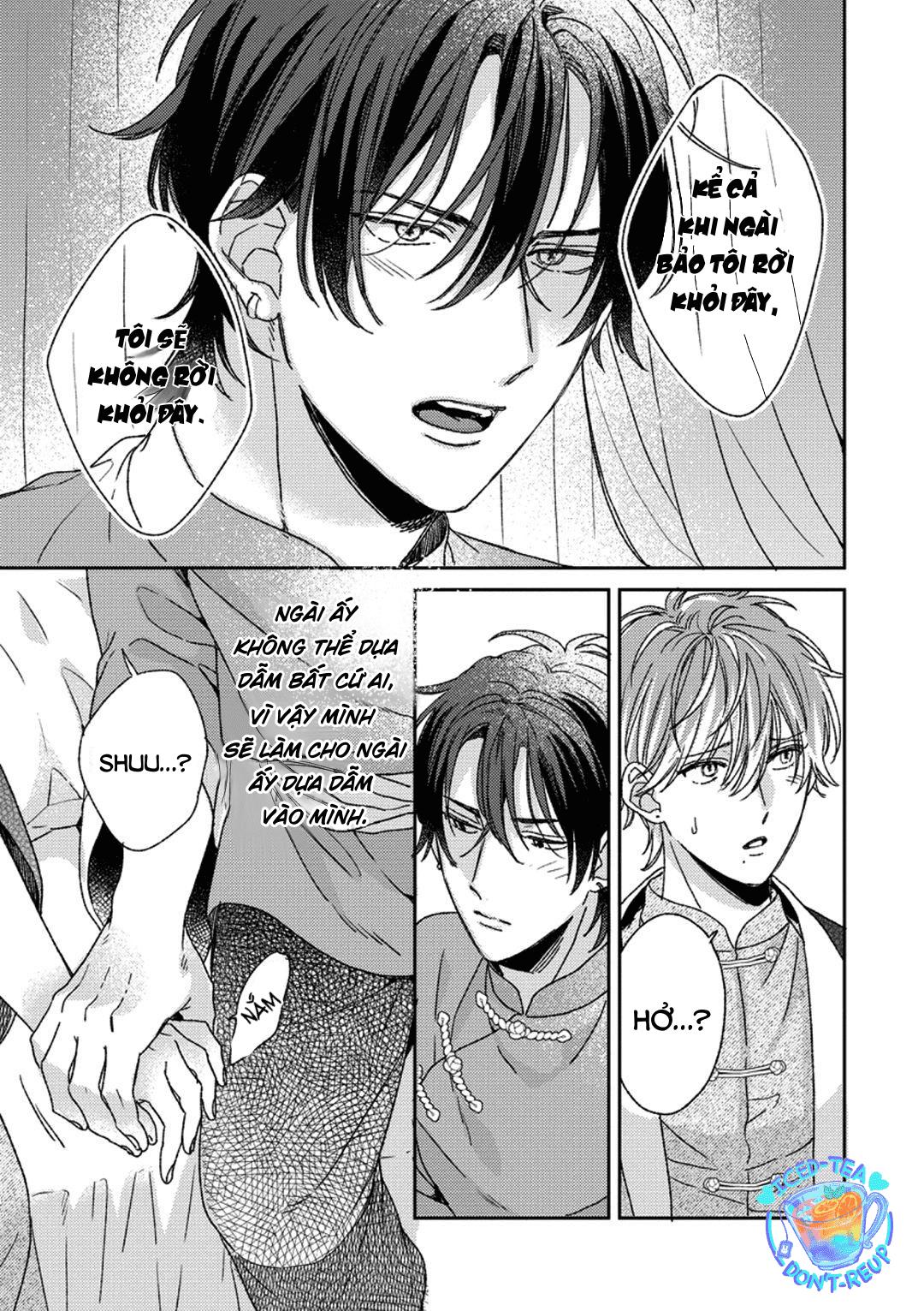Đọc truyện Ngủ ngon nhé, chú chim nhỏ của tôi - Chapter 4