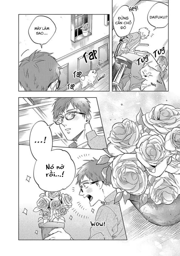 Đọc truyện Ngợi ca ngài succubus - Chapter 6