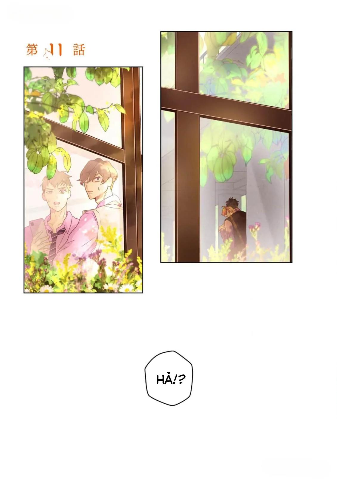 Đọc truyện Phân Tán - Chapter 11